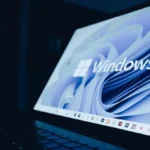 DAC audio issue Windows 11 2025